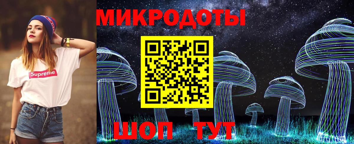 Галлюциногенные грибы ЛСД Камышлов