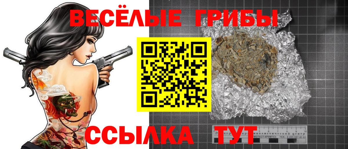 Галлюциногенные грибы GOLDEN TEACHER  Вход с VPN  Псилоцибиновые грибы GOLDEN TEACHER  Камышлов 